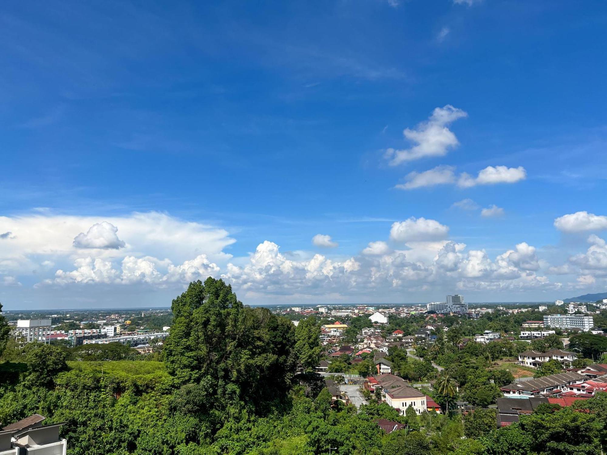 Apartment View Near Garden/ Netflix *